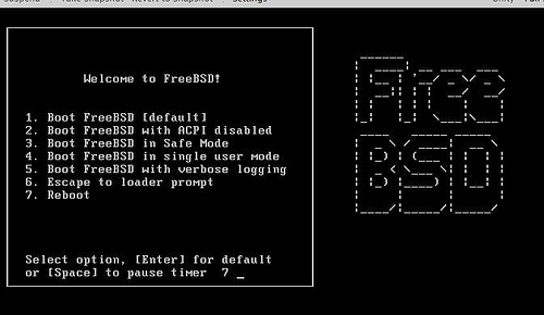 Boot your computer from the optical drive, with FreeBSD Disc 1 inserted.