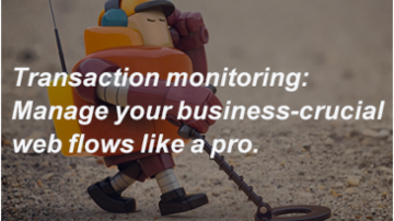 What Is Transaction Monitoring and who needs it?