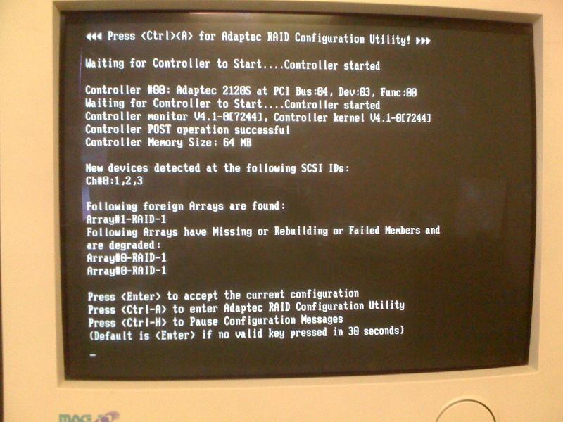 figure 1: 4 old SCSI hard drives in the RAID controller