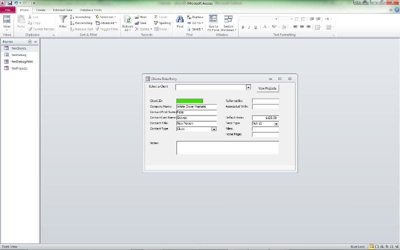Figure 4: Result of Using the Immediate Window to Set the Values of Properties
