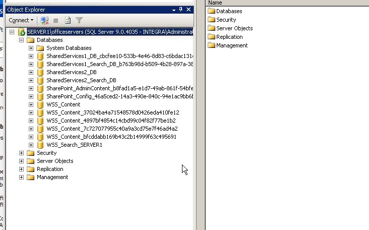 Solved: Sharepoint Runtime Error | Experts Exchange