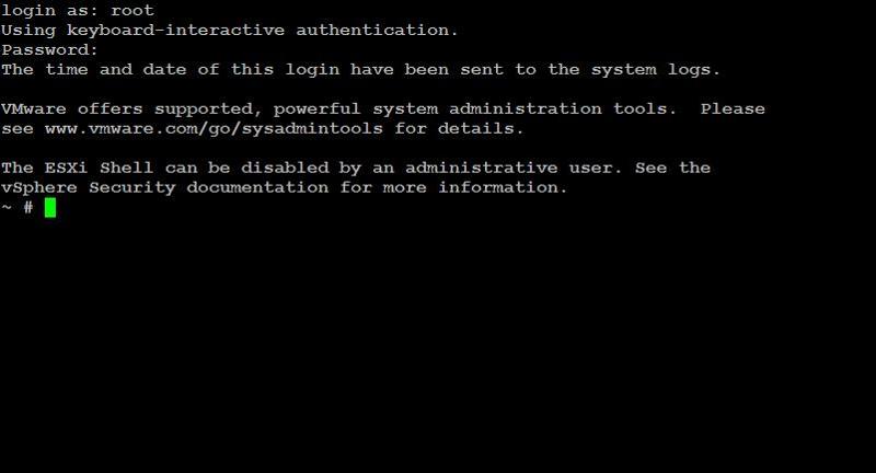 logged in as root to ssh terminal session