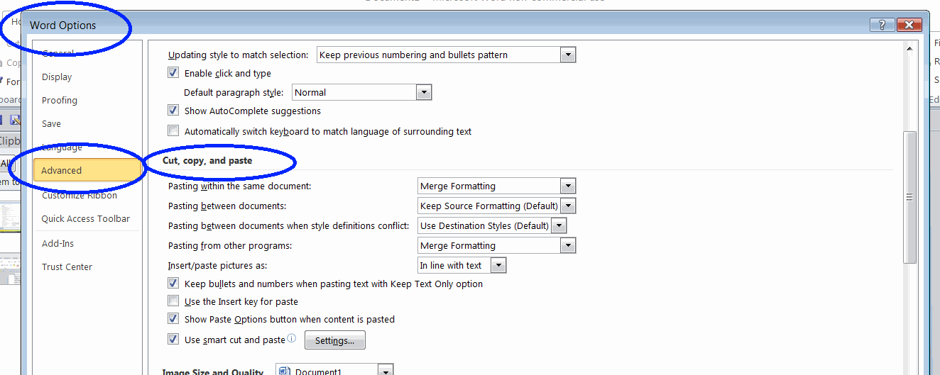 pasting text with source formatting in word
