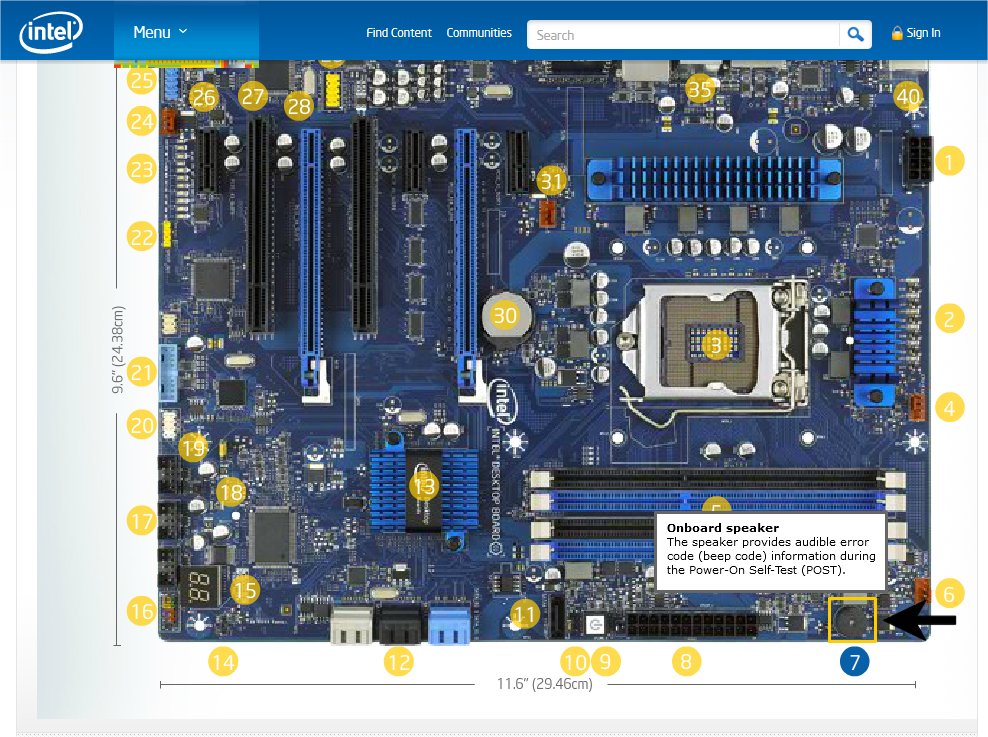 Intel bio