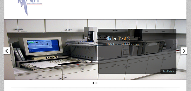This image shows the slider from a working browser