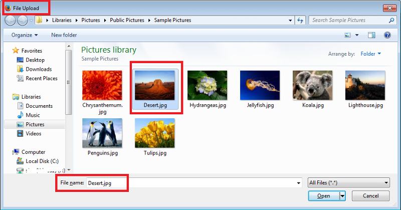 Upload Window