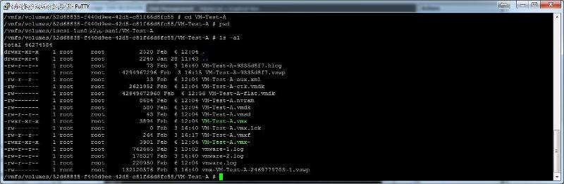 VM Folder Path