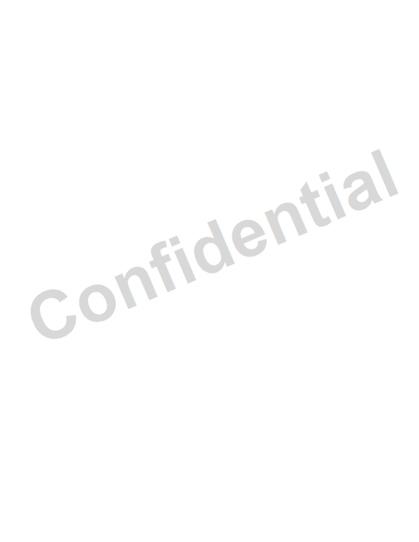 Confidential Watermark
