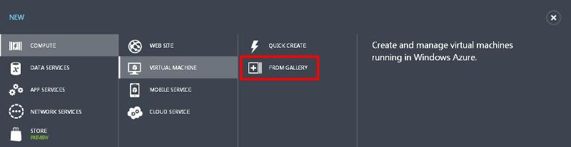 gallery.jpg