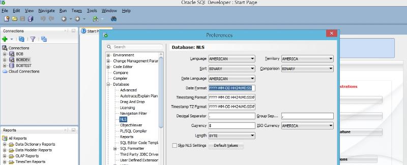 Sql Developer Date Time Format In Query