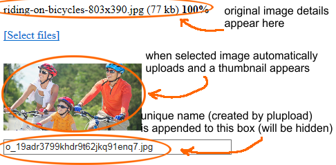 User generated image