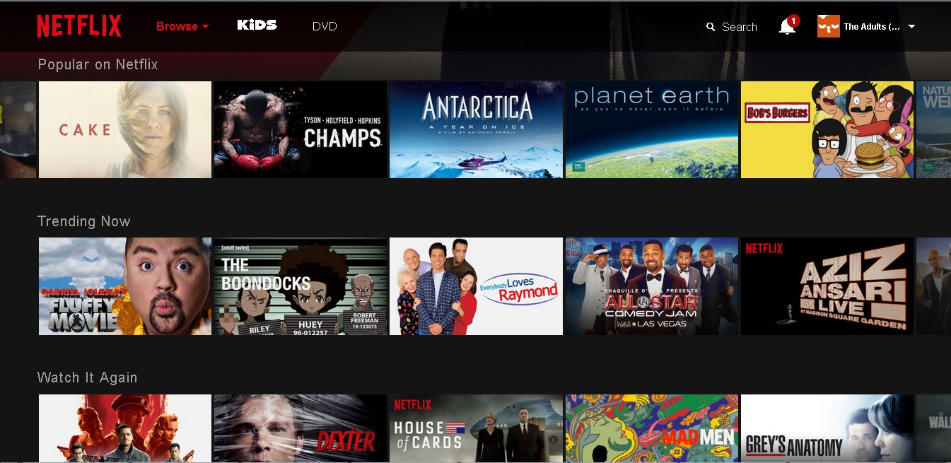 Netflix Homepage Template