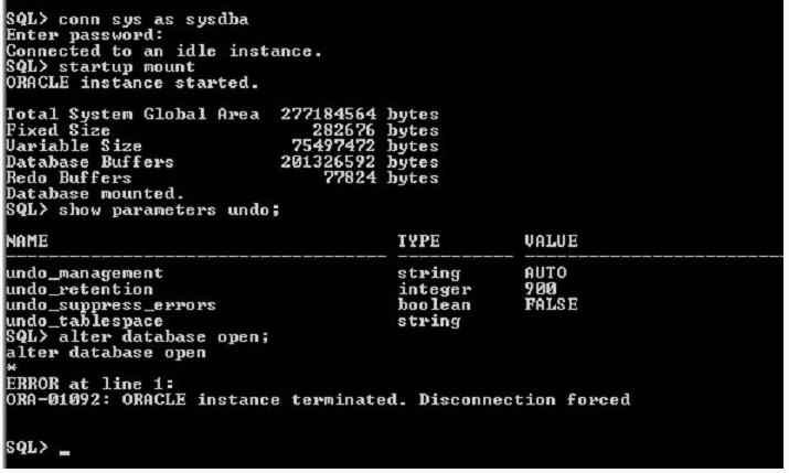 program was terminated by signal 11 in oracle reports