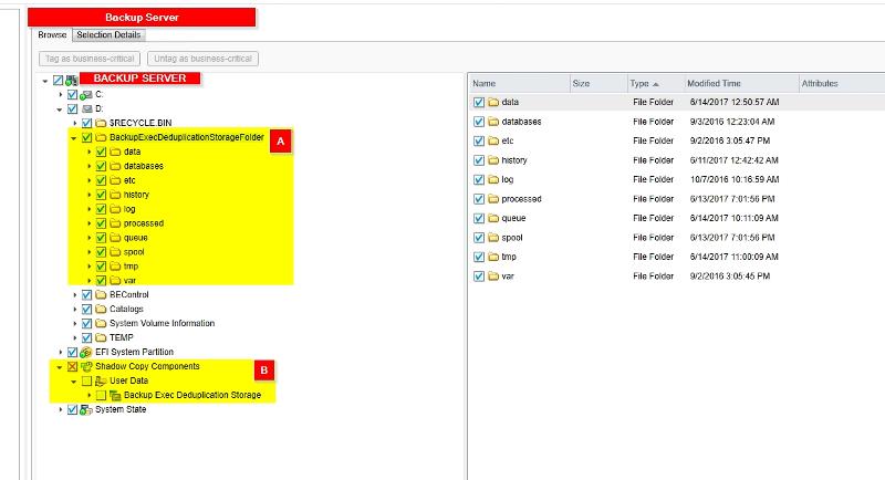 User generated image