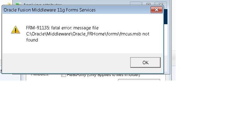 frm 91135 fatal error message file not found