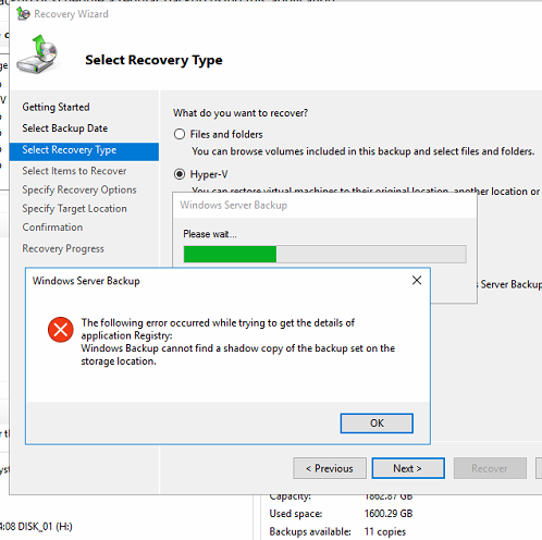 Microsoft Hyper-V Backup and Recovery