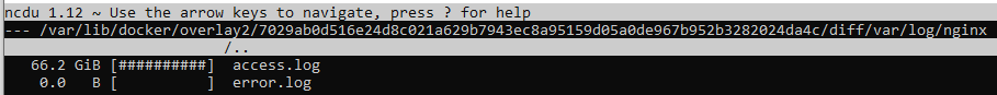 solved-how-to-shrink-my-nginx-docker-container-access-log-located-in