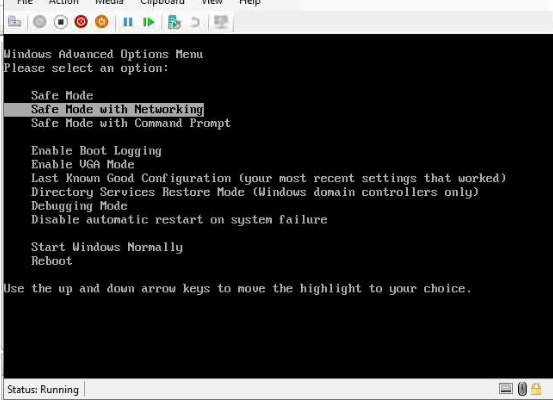 User generated image