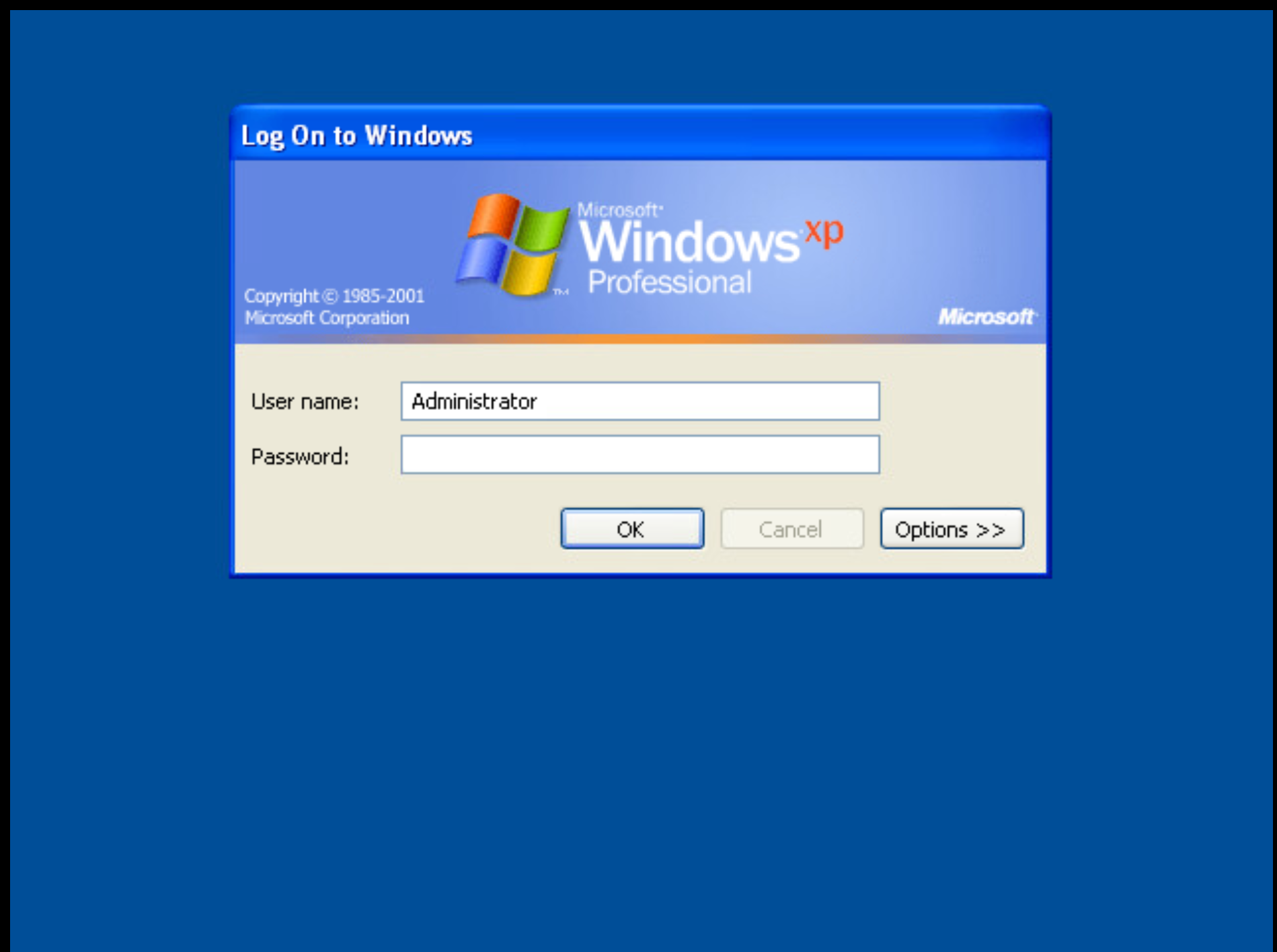 User generated image